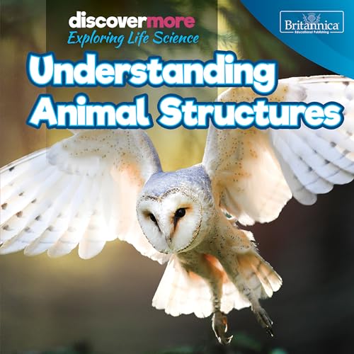 Understanding Animal Structures