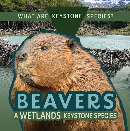 Beavers: A Wetlands Keystone Species
